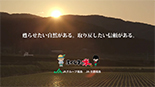CM動画